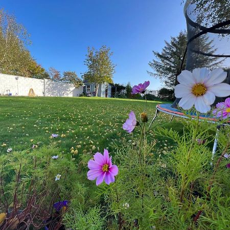 Hillview Bed and Breakfast Enniskerry Exterior foto