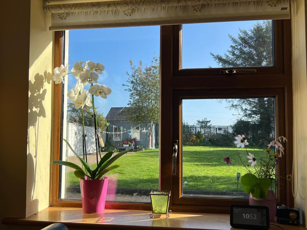 Hillview Bed and Breakfast Enniskerry Exterior foto